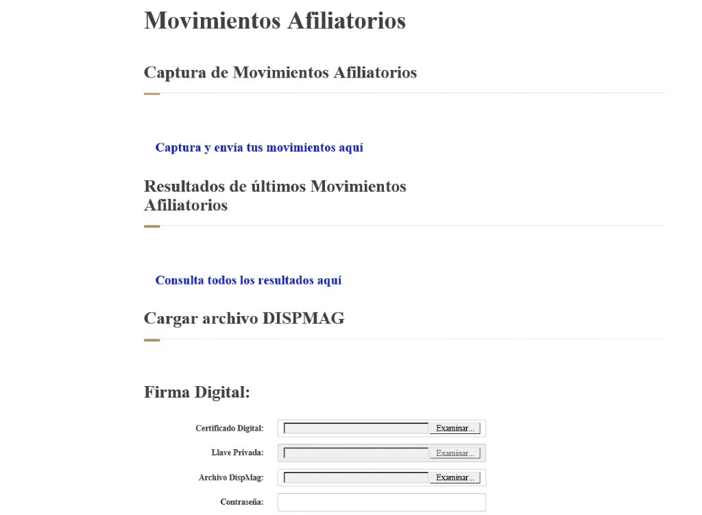 alta empresa IMSS